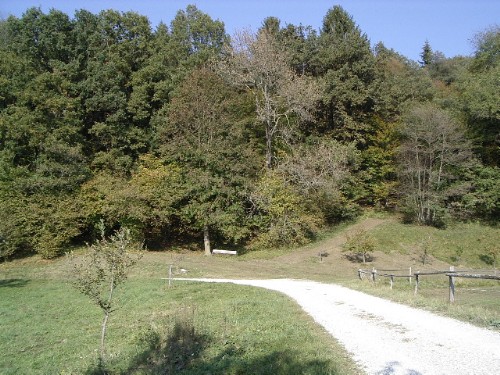 Zeluce 191003 035.jpg